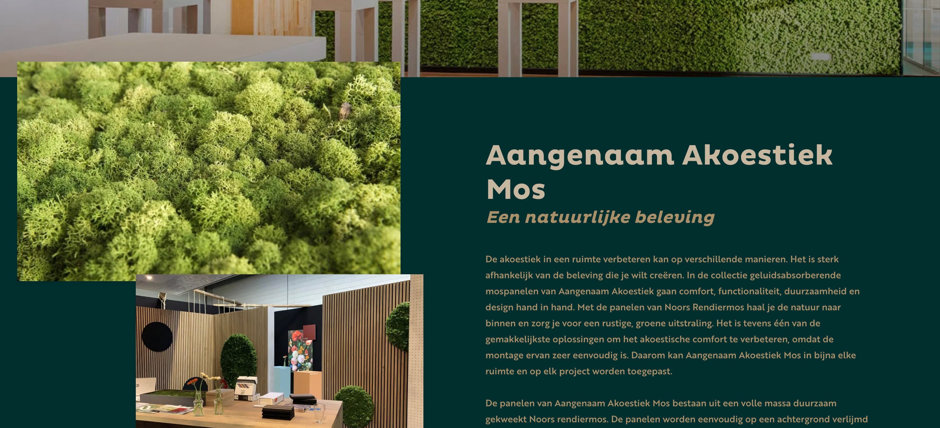 Aangenaam Akoestiek homepage